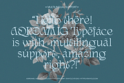 AQREAMIG — Luxury Ligature Serif, a Serif Font by Enxyclo Studio (Thumbnail 23 of 25)