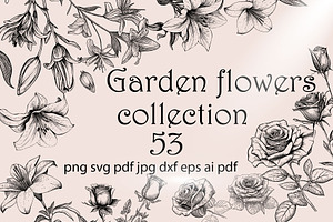 Garden flowers collection