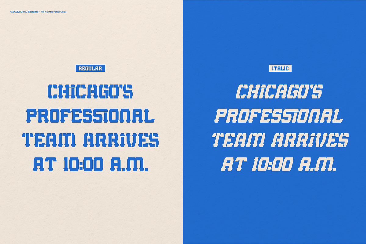 Rookie Assist | Sport Display Font, a Slab Serif Font by Denustudios (Photo 8 of 12)