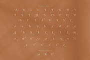 Thirand Elegant Serif Font, a Serif Font by Graphicxell (Thumbnail 8 of 16)
