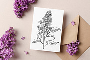 Lilac Flowers Line Art SVG, an Object Graphic by Dervik Art Store (Thumbnail 6 of 7)