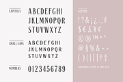 Gerhard: A Modern Classic Font, a Serif Font by Black Lab Type (Thumbnail 3 of 7)