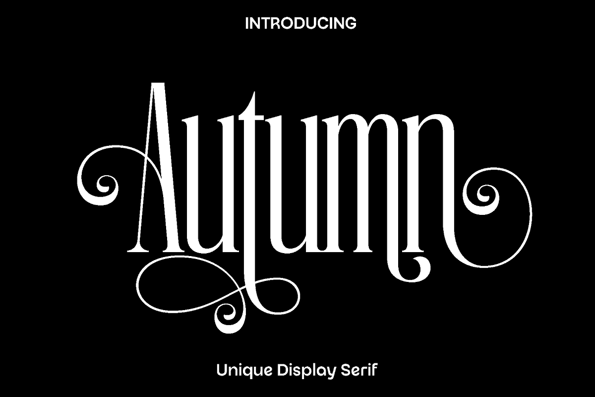 Autumn - Unique Display Serif, a Serif Font by Luna Shop (Photo 1 of 6)