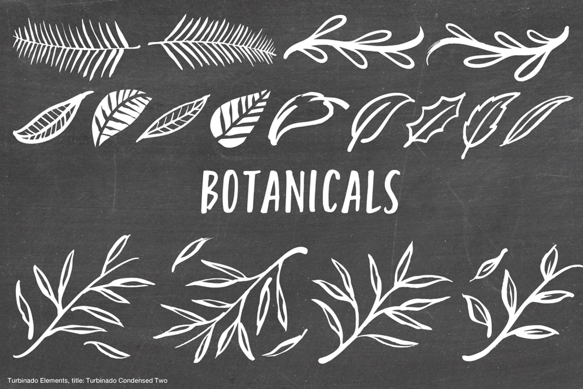 Turbinado Set, a Script Font by Aerotype (Photo 22 of 28)