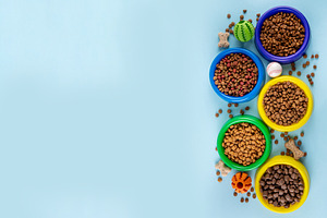 Variety of pet dry food pellets, for cats and dogs, an Animal Photo by Rimma