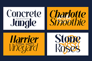 Mochira - Stylish Variable Font, a Sans Serif Font by Say Studio (Thumbnail 3 of 13)