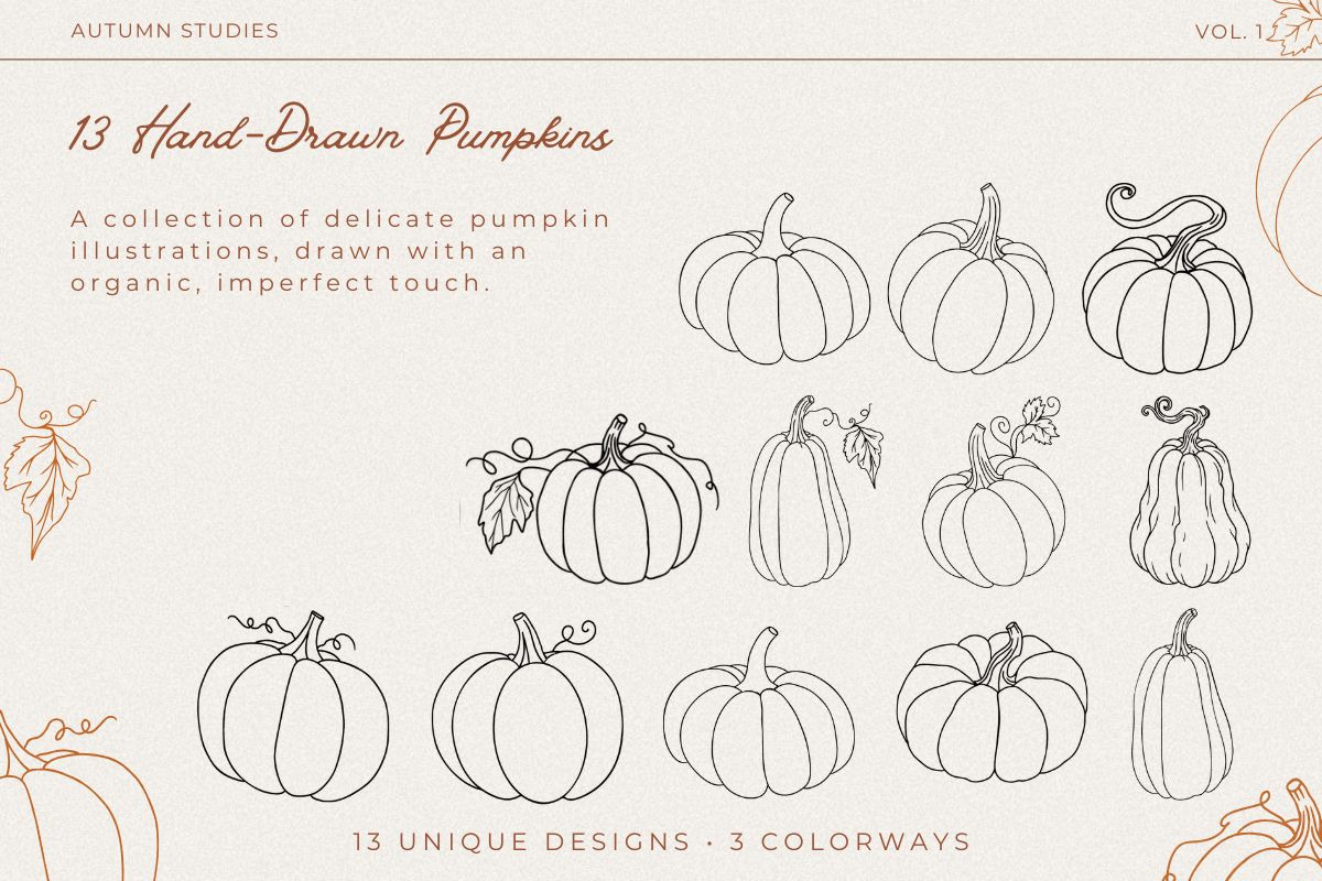 Painted Pumpkin | Pumpkin Line Art, a Seasonal Illustration by Fins and Fiction (Photo 2 of 5)