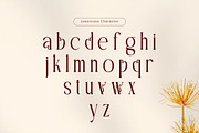 Woaster - Luxury Display Font, a Serif Font by Flawless And Co (Thumbnail 9 of 10)