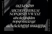 Radilen Aveline, a Serif Font by Dora Typefoundry (Thumbnail 18 of 18)