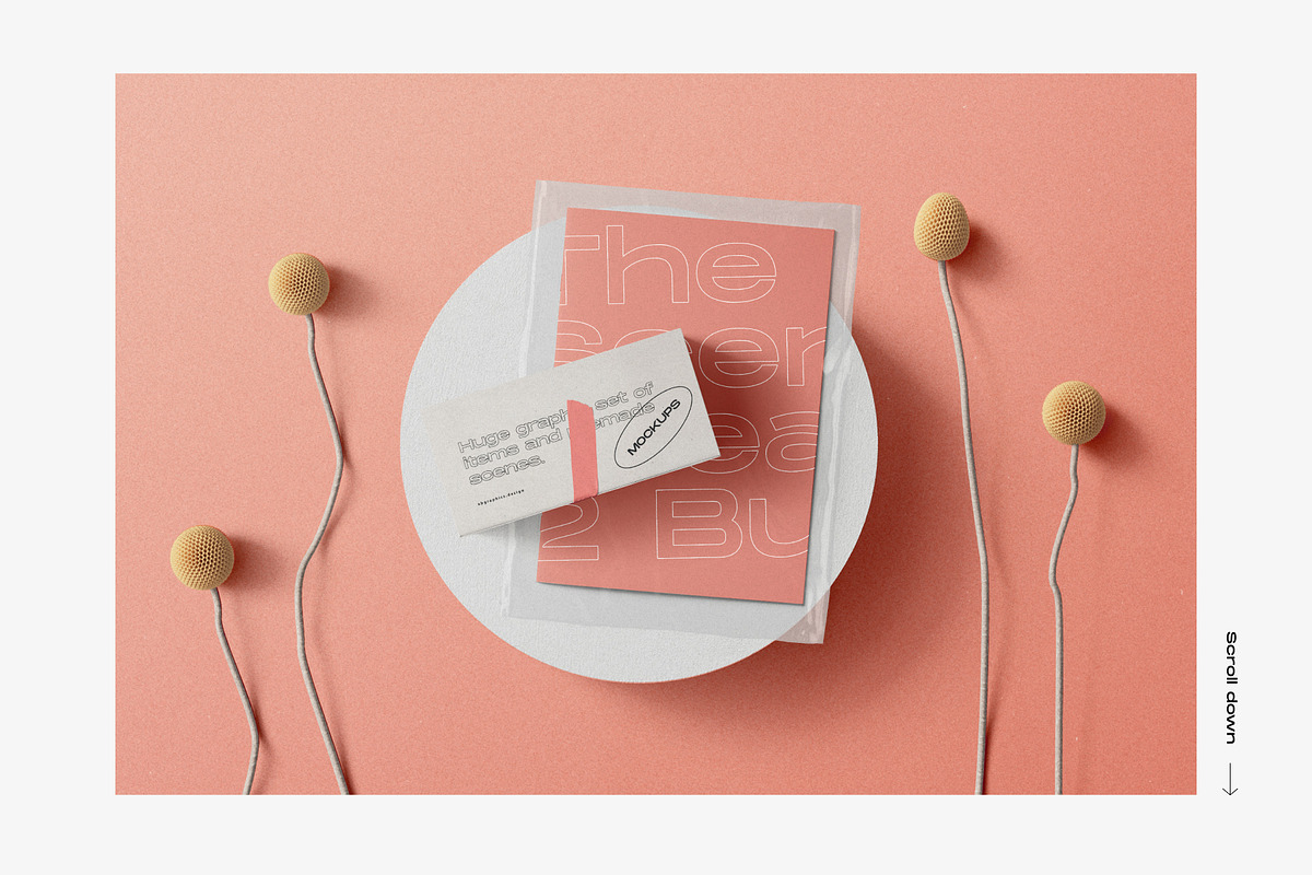 50%OFF The Scene Creator 2-top view, a Packaging Mockup by Creatoom (Photo 9 of 40)