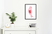 Cute Seal. Valentine's Day Clip Art, a Decorative Illustration by Barkova Nadya (Thumbnail 6 of 7)