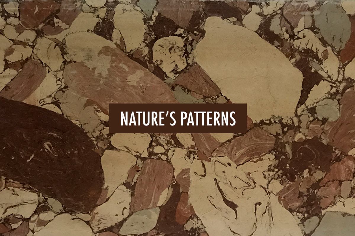 Nature's patterns, a Pattern Graphic by Livi's Goodies (Photo 2 of 4)