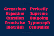 Megan Cloudy - Charming Serif, a Serif Font by Variatype (Thumbnail 4 of 10)