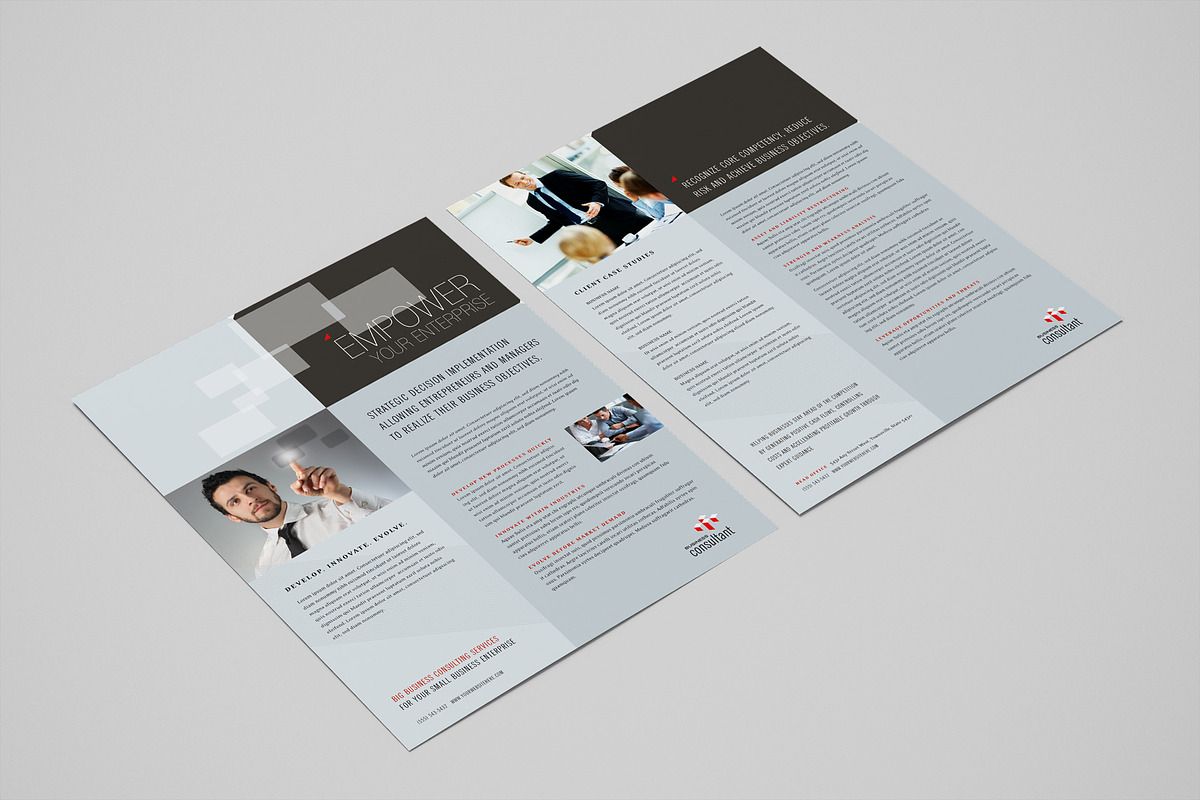 Corporate Datasheet Template, a Flyer Template by StockLayouts (Photo 5 of 5)