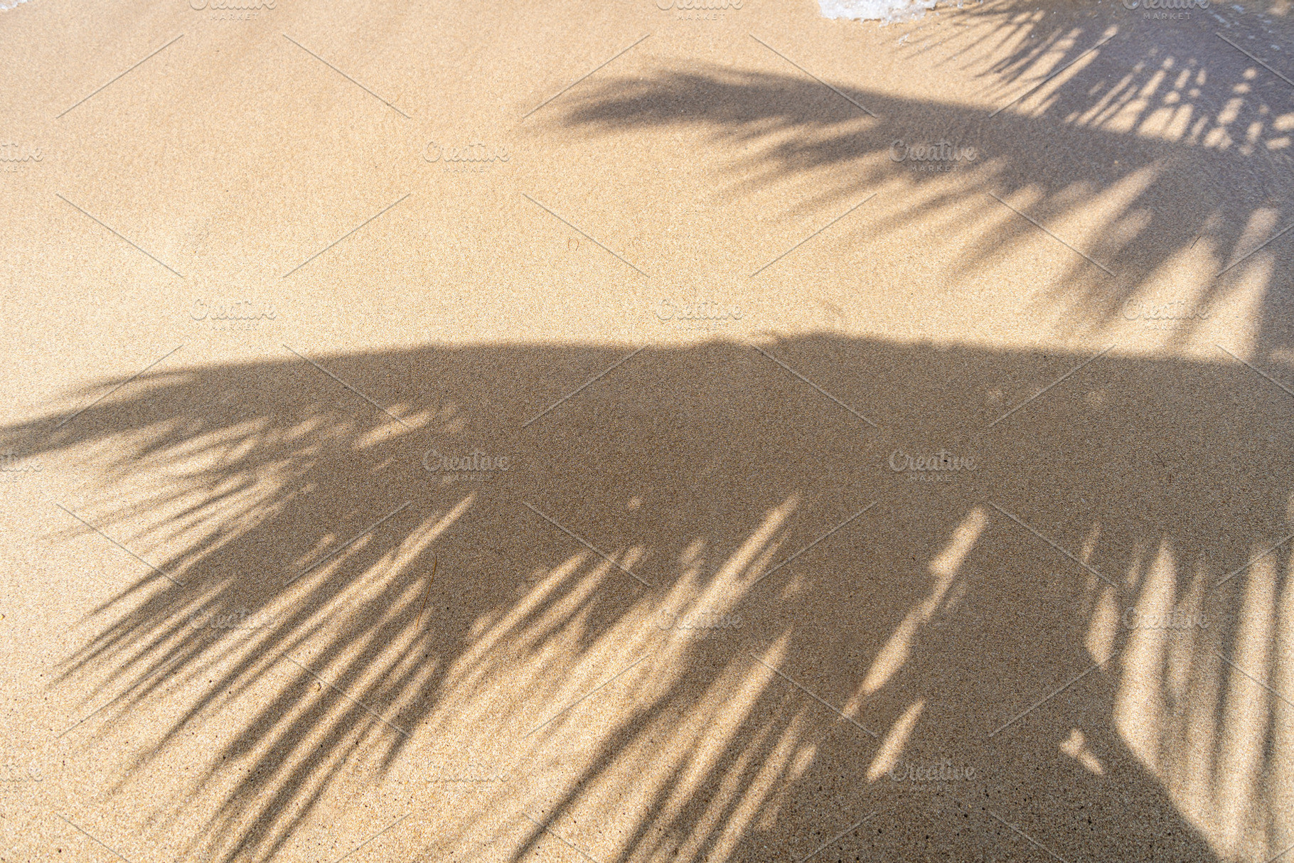 Palm tree shadow on Anaho Beach, Nuku Hiva, French Polynesia, a Photo by GoodGoods