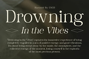 Harnold, a Serif Font by Craft Supply Co. (Thumbnail 5 of 8)