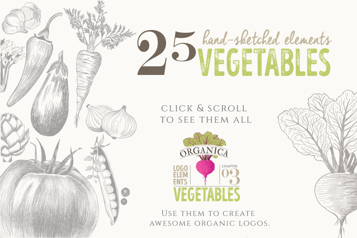 4 IN 1 ORGANIC LOGO ELEMENTS, a Food Illustration by Friendly Label (Photo 7 of 13)