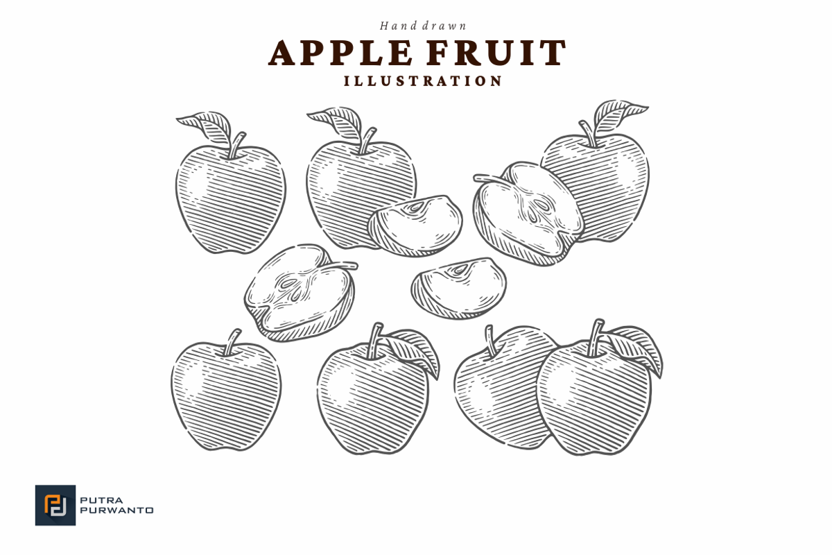 Vintage Apple Engraving Illustration, a Food Illustration by putra_purwanto (Photo 3 of 3)