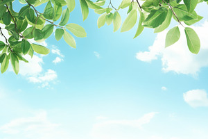 Blue sky and white clouds with green, a Photo by Dvoevnore photos