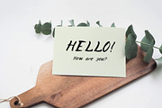 Serafima font, a Script Font by Lana Samokhina (Thumbnail 8 of 10)