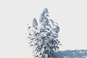 Phlox, an Environmental 3D Model by happy brush (Thumbnail 4 of 6)