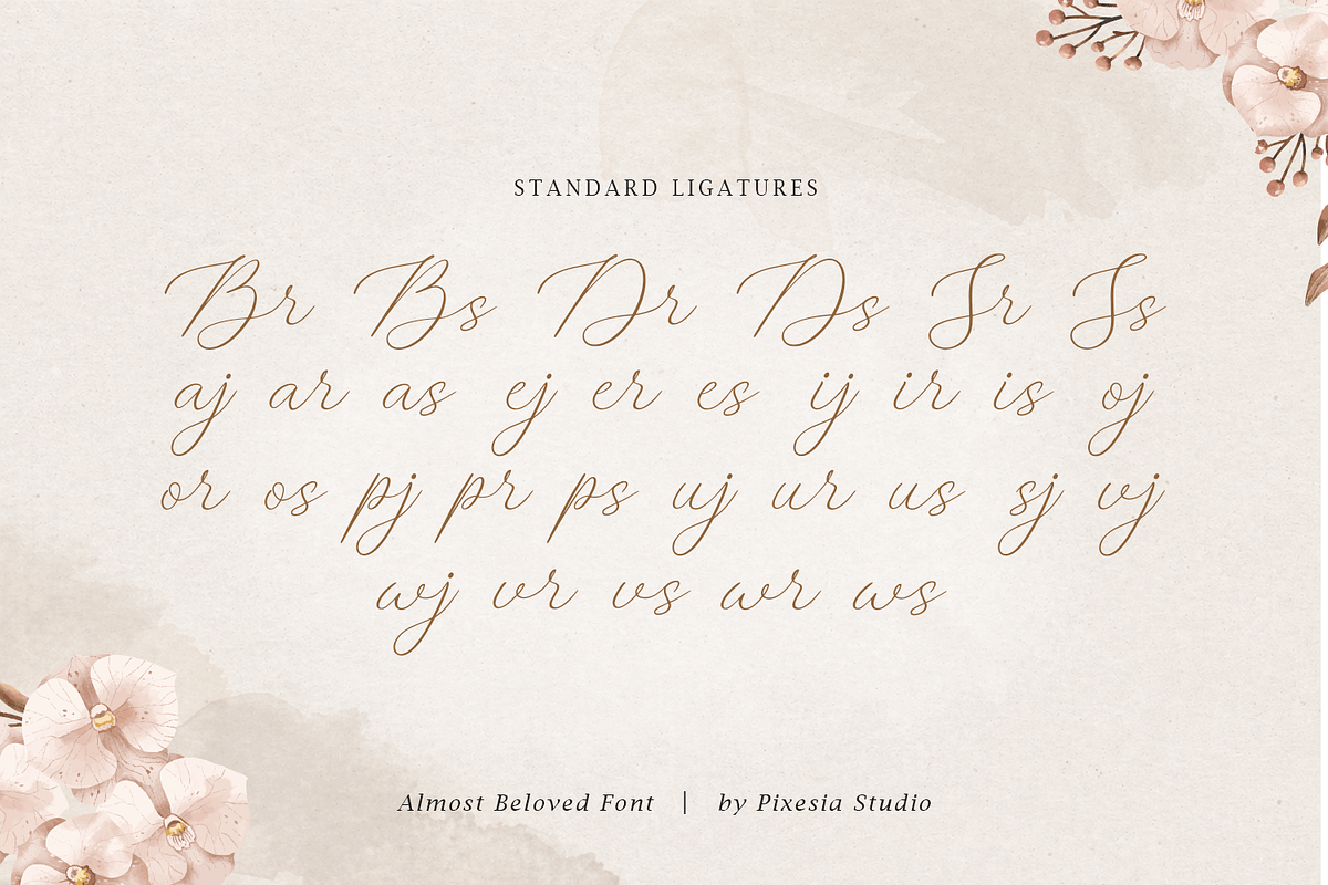 Almost Beloved - Luxury Script Font, a Script Font by Pixesia Studio (Photo 10 of 10)