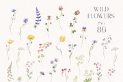 World of Butterflies & Wild Flowers., a Seasonal Illustration by Designwork (Thumbnail 17 of 20)