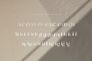 Leky Calgria Elegant Serif