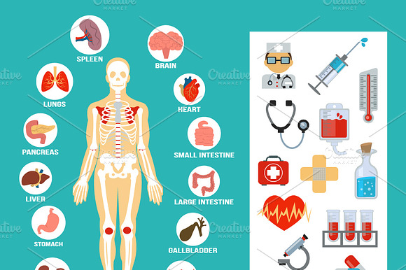Vector Flat Anatomy Icons Set