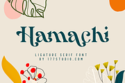 Hamachi Font, a Serif Font by 177Studio (Thumbnail 1 of 8)