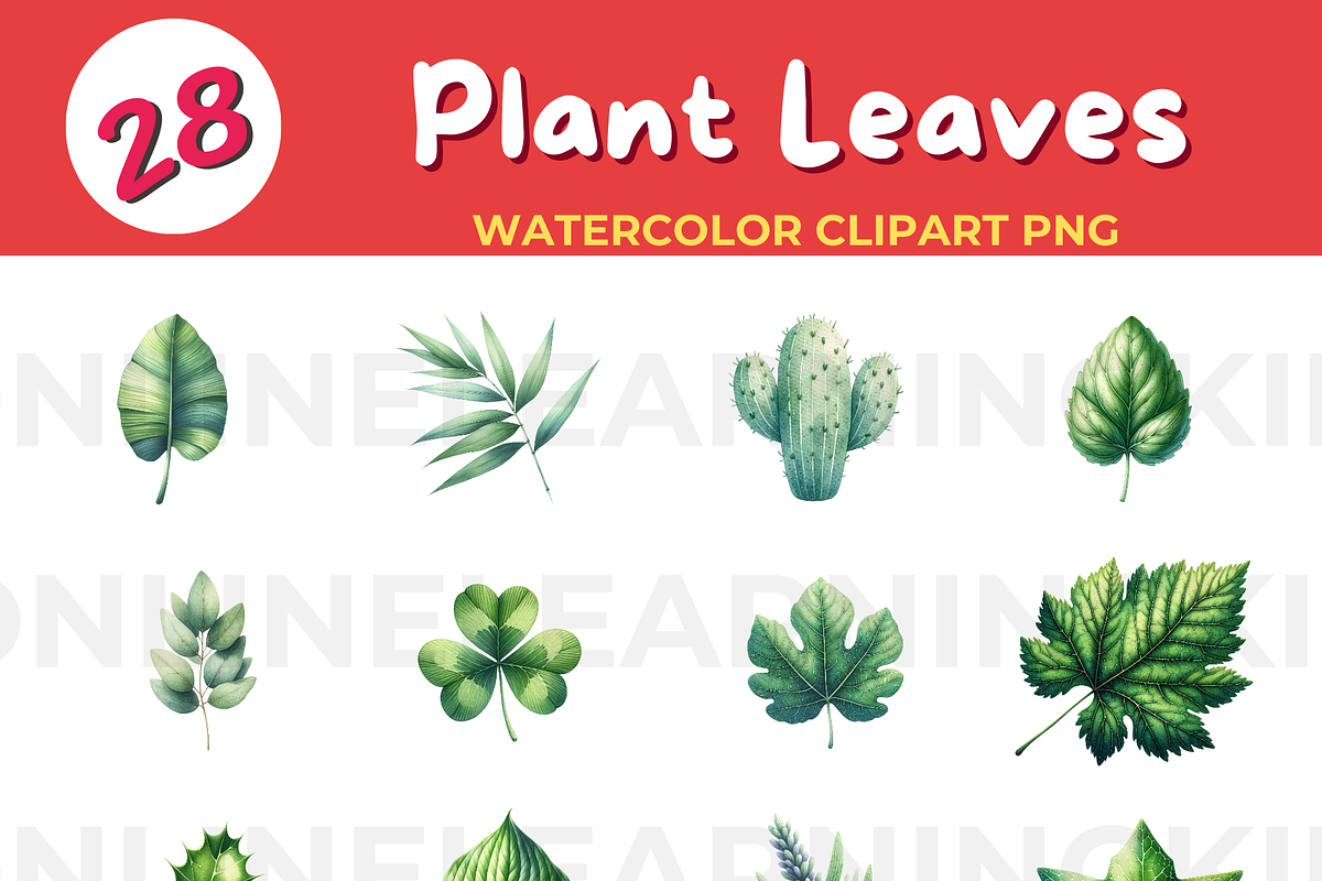 Botanical Beauty: Explore Nature's D, an Education Illustration by John_Walker (Photo 1 of 2)
