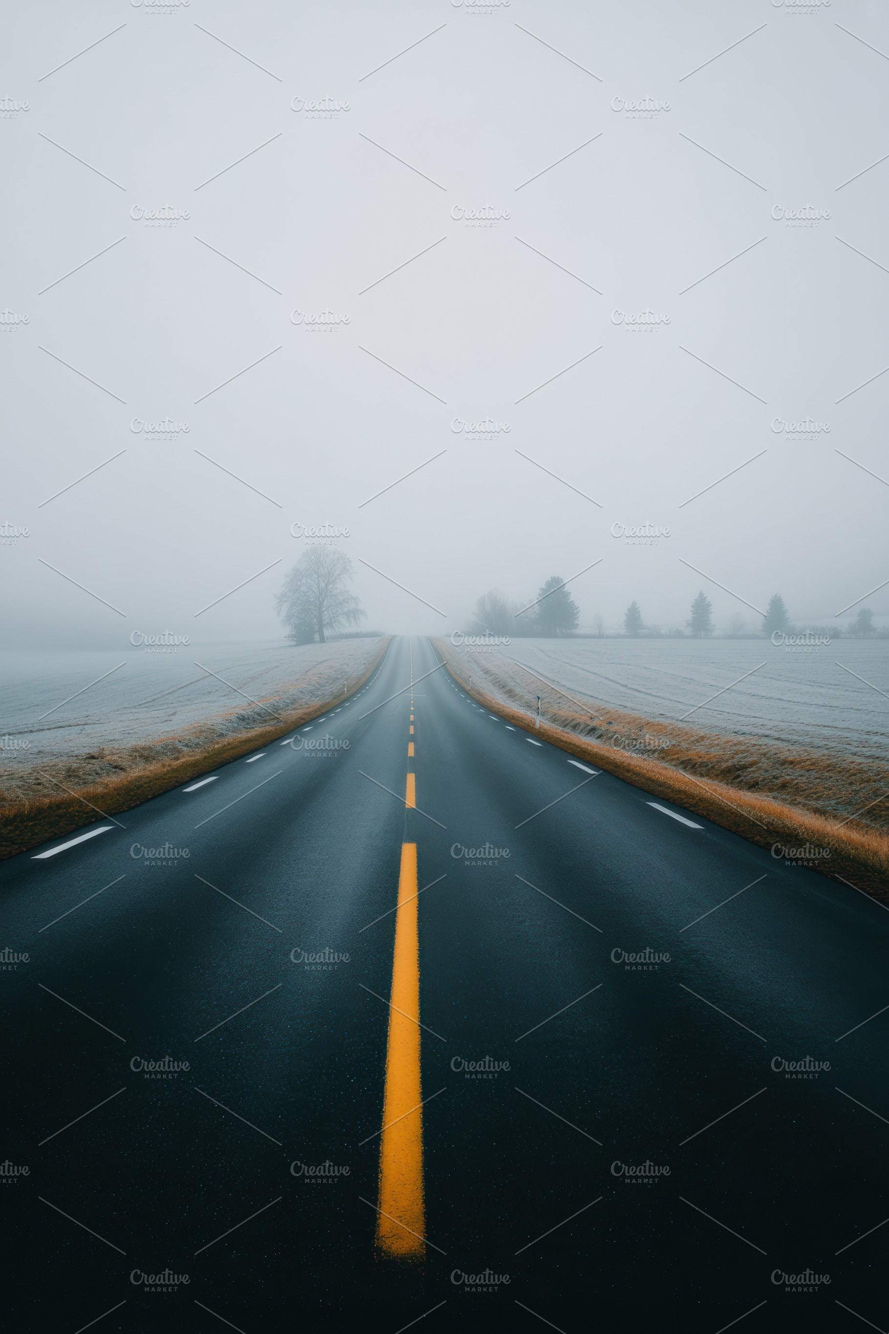 Scandinavian Foggy Road, a Nature Photo by Virgo Studio