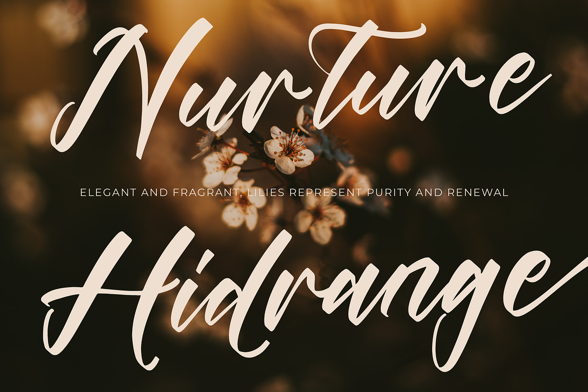 Players Climber Modern Handwritten, a Script Font by stylishtype.co (Photo 13 of 20)