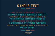 Geronimo Typeface Layer, a Sans Serif Font by typeline studio (Thumbnail 3 of 8)
