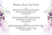 Madison Street Text Fonts, a Sans Serif Font by STUDIOWAYS (Thumbnail 1 of 4)