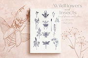 Wildflower and Insect collection, an Illustration by Hand drawn Boutique (Thumbnail 1 of 7)