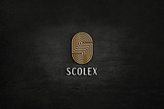 Letter s line art monogram flat logo, a Branding & Logo Template by Amadul11 (Thumbnail 5 of 6)