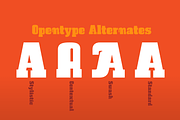 Bock, a Slab Serif Font by Latinotype (Thumbnail 2 of 3)