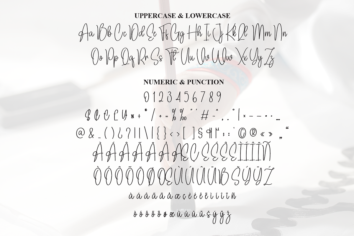 Camilla Calligraph | Script Font, a Handwritten Font by Scratchones (Photo 6 of 7)