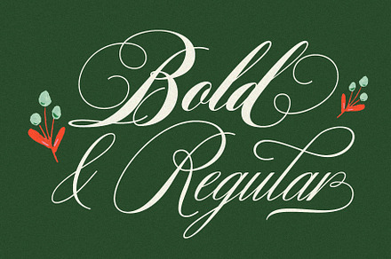 Bibliophile Script, a Font by Sudtipos
