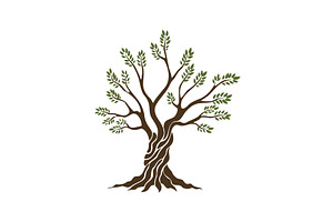 Olive trees with branches and, a Food Illustration by Things for designers