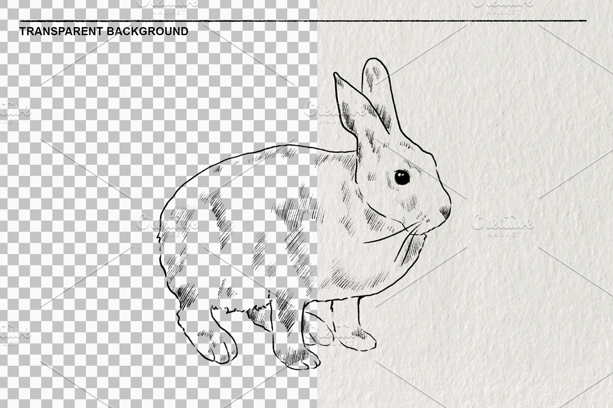Pencil sketches of rabbit PNG, an Animal Illustration by LOKSKIH (Photo 2 of 5)