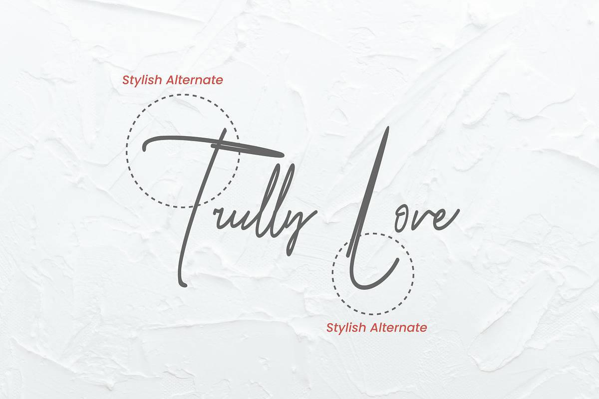 Royal Hamilton Signature, a Handwritten Font by Dhwstd (Photo 2 of 5)