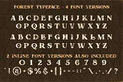 Forest - Display Font, a Font by JumboDesign (Thumbnail 4 of 6)