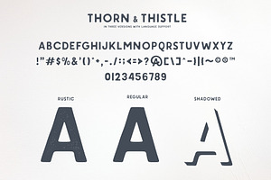 Thorn & Thistle Sans Family