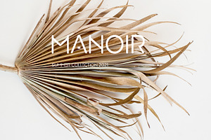 Manoir Jade. Sans Serif Font