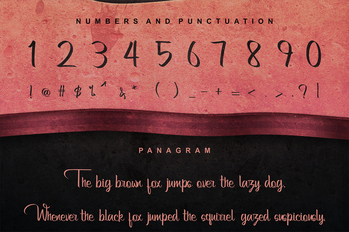 Bertha - Script With Ligatures preview 4