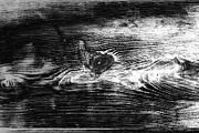 Wood Grain Overlay / Texture Pack 1, a Texture Graphic by Ryan McGehee (Thumbnail 5 of 13)