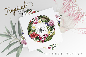 UPDATE - Tropical Bundle & Flamingo