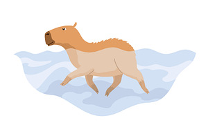 Capybara. Cartoon cute animal, wild, an Animal Illustration by the8monkey